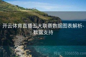 开云体育直播五大联赛数据图表解析-数据支持