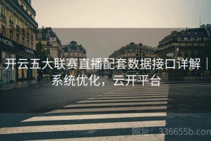 开云五大联赛直播配套数据接口详解｜系统优化，云开平台