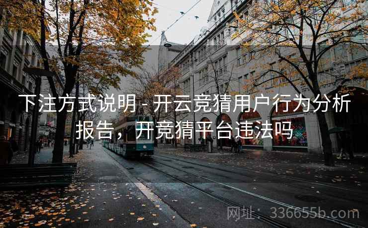下注方式说明 - 开云竞猜用户行为分析报告，开竞猜平台违法吗
