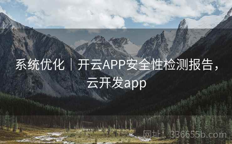 系统优化｜开云APP安全性检测报告，云开发app
