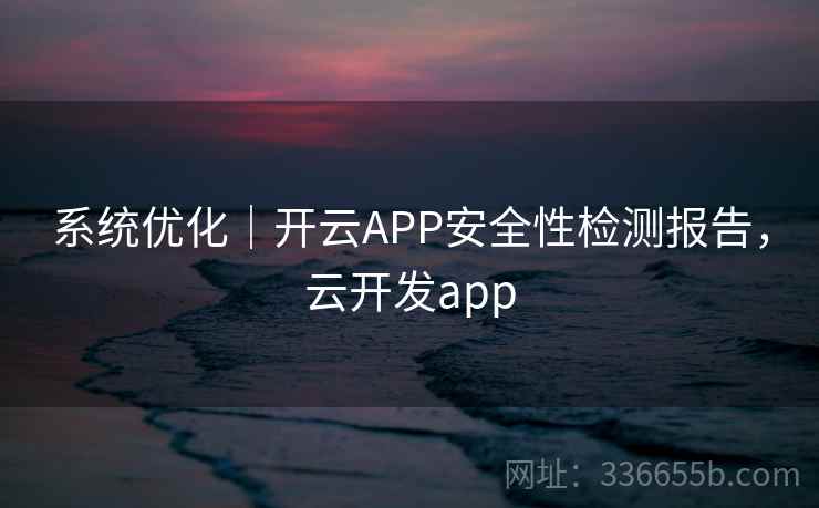 系统优化｜开云APP安全性检测报告，云开发app